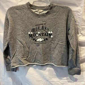 NWOT Madewell Sweatshirt Big Sky Mt.Montana cut off crop gray SZ S